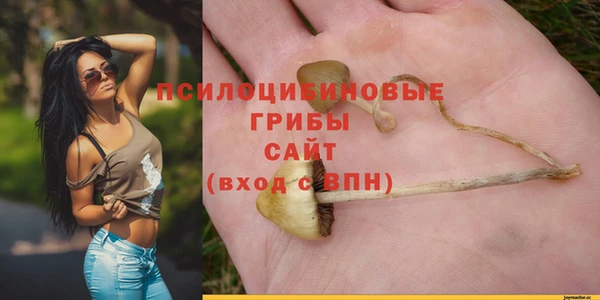 мдпв Лихославль