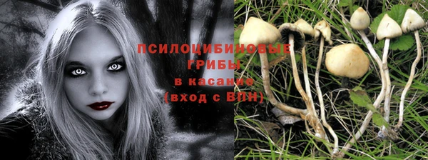 мдпв Лихославль