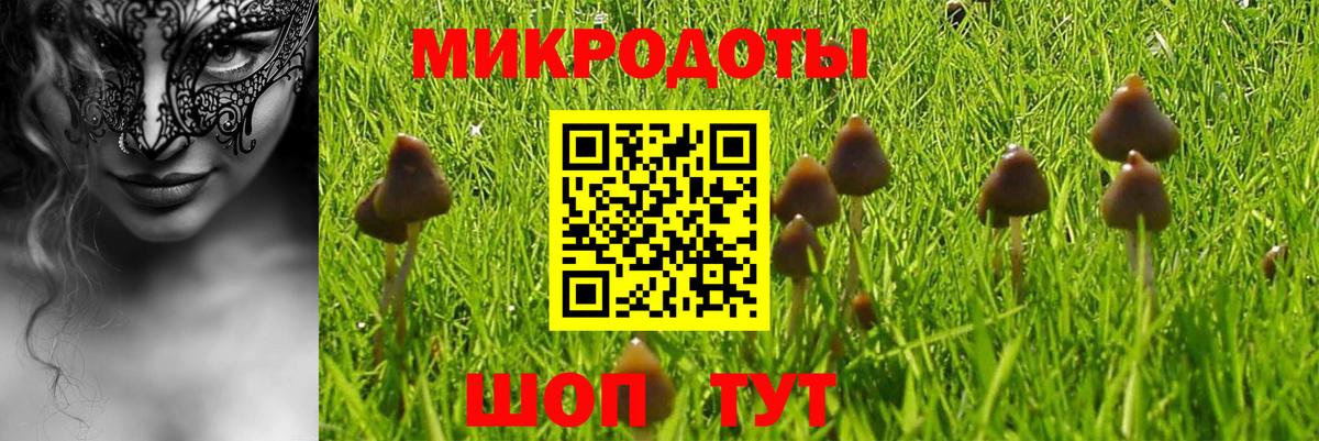 Галлюциногенные грибы мухоморы Маркс