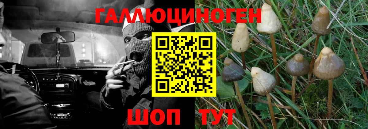 Галлюциногенные грибы мицелий  Вход с VPN  Маркс 